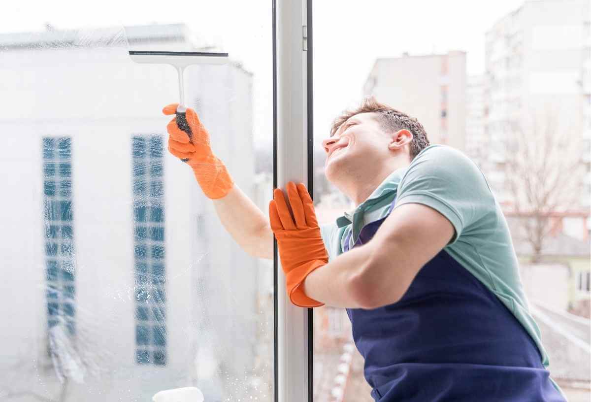 Professional Window Cleaning in Botany