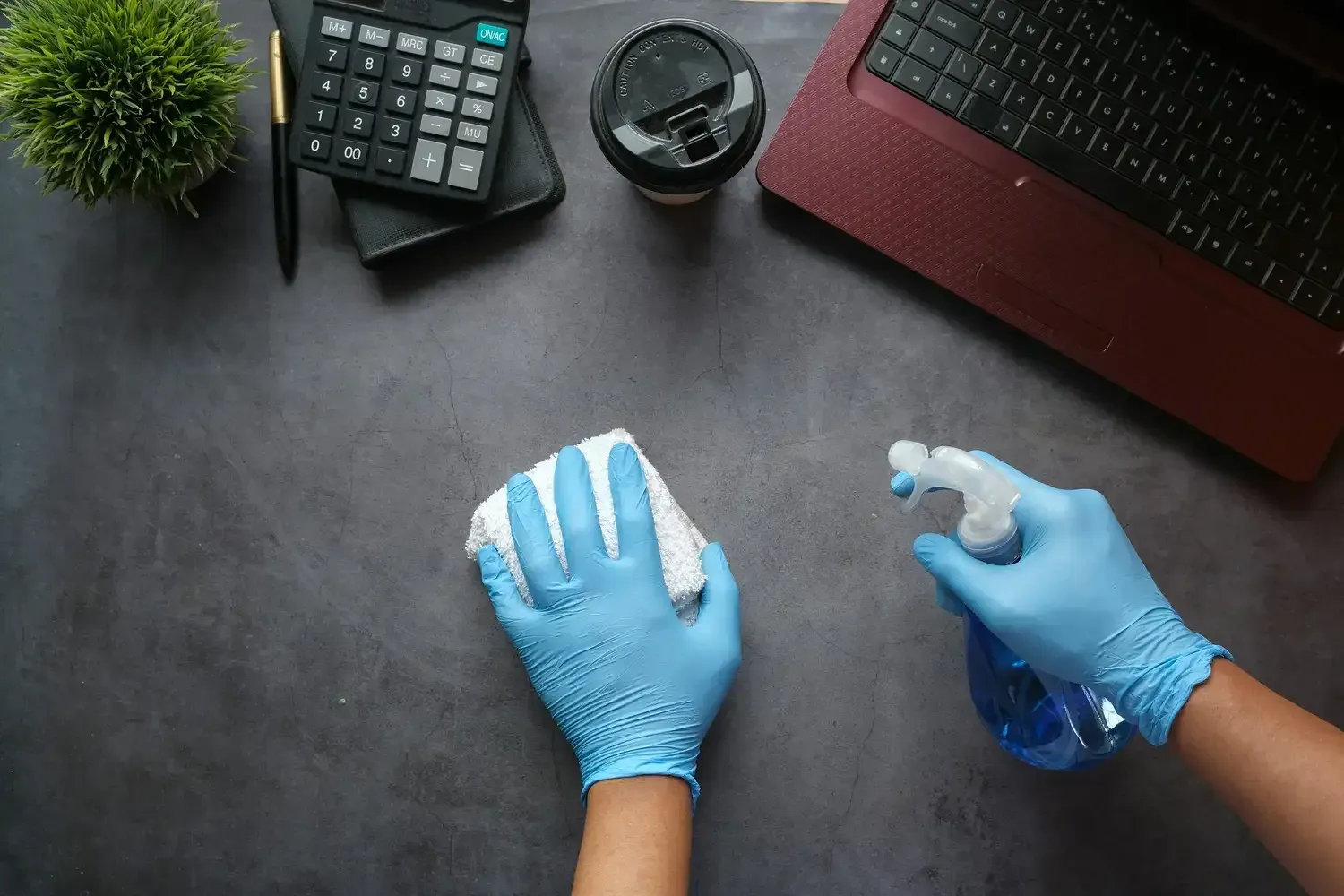 Top Rated Cleaning Services in Alexandria