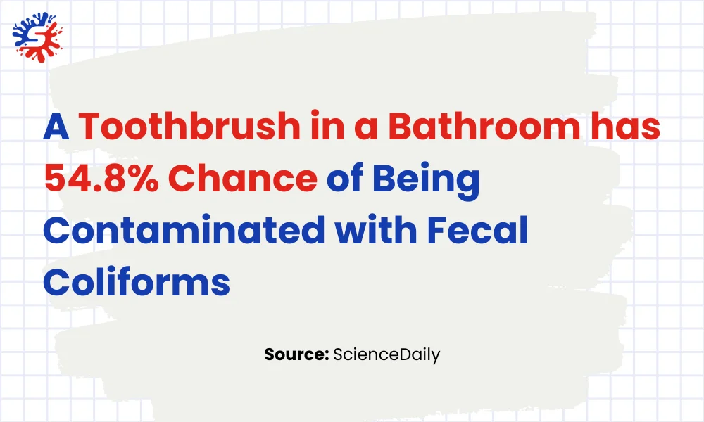 A Toothbrush in a Bathroom