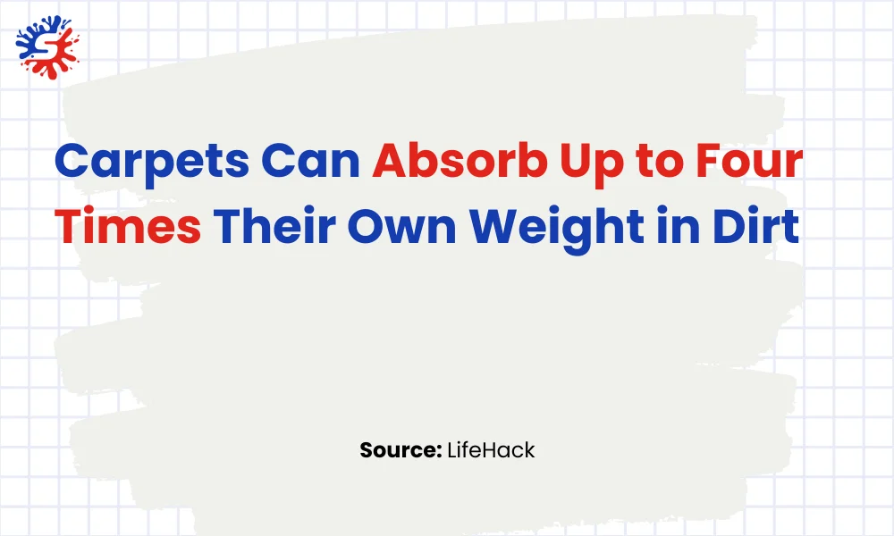 Carpets Can Absorb Up to Four Times Their Own Weight in Dirt