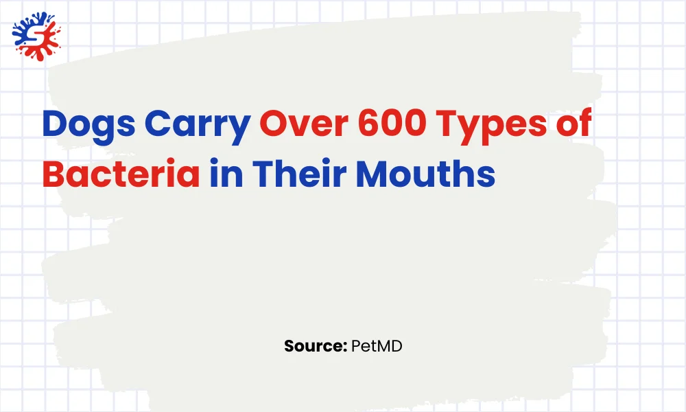 Dogs Carry Over 600 Types of Bacteria in Their Mouths