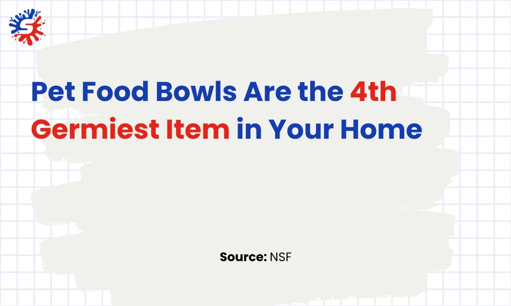 Pet Food Bowls Are the 4th Germiest Item in Your Home