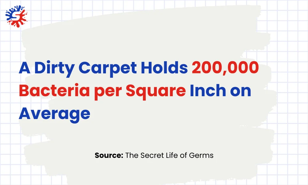 avergae bacteriain a carpet